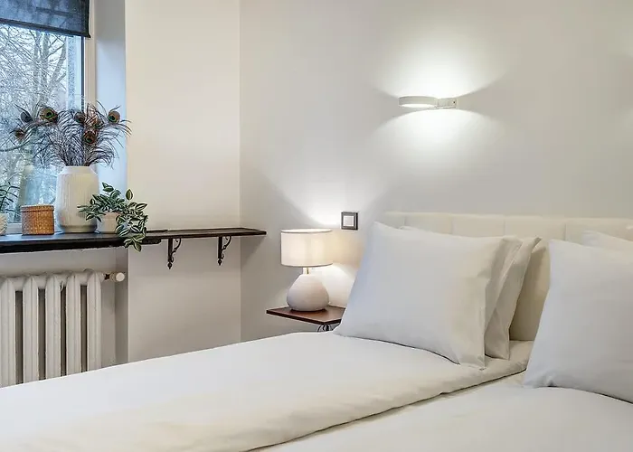 Domillion 1bdr Dominikonu Str Do333 Apartment