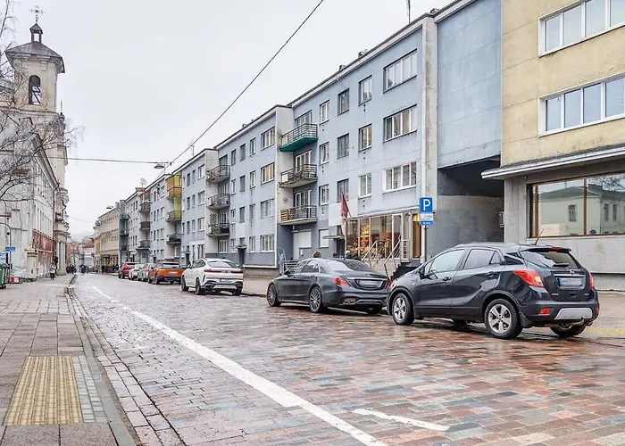 Domillion 1bdr Dominikonu Str Do333 Butas