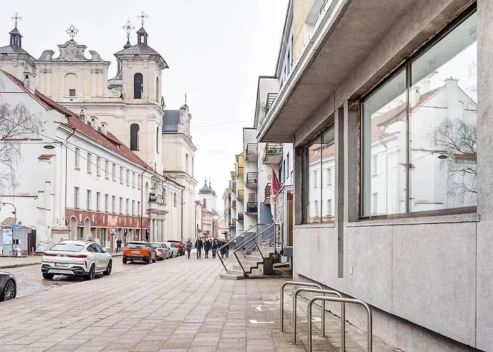 Butas Domillion 1bdr Dominikonu Str Do333