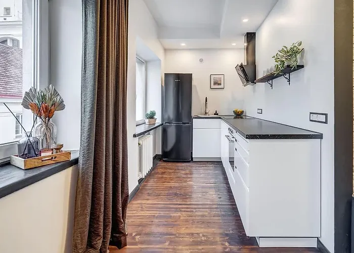 Domillion 1bdr Dominikonu Str Do333 * Vilnius