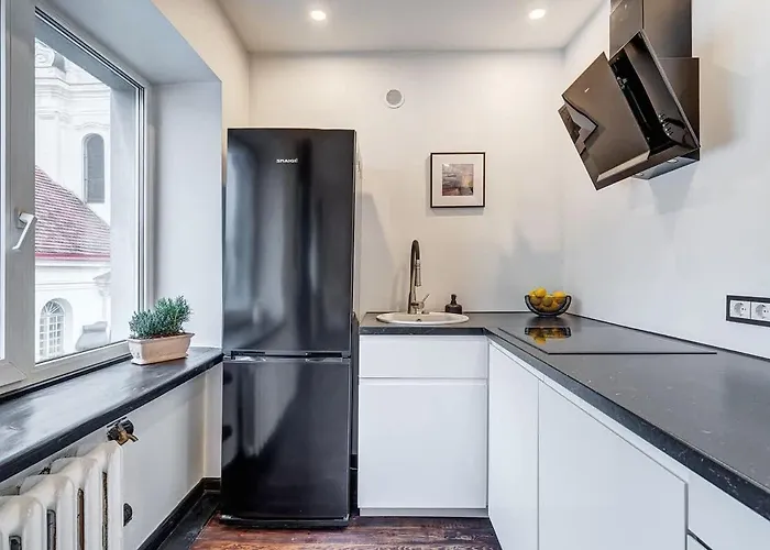 Domillion 1bdr Dominikonu Str Do333 维尔纽斯