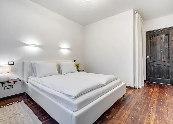 Domillion 1bdr Dominikonu Str Do333 * 维尔纽斯